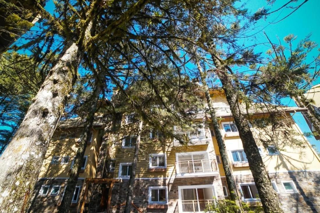 Apto 103 B,2, Proximo A Museus E Restaurantes, Condominio Com Piscina Aquecida. Грамаду Екстер'єр фото
